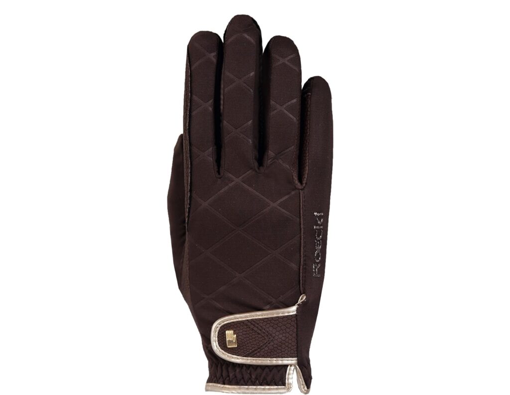 ROECKL Winter Gloves