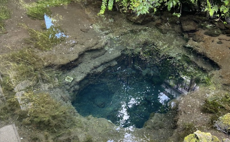 忍野八海