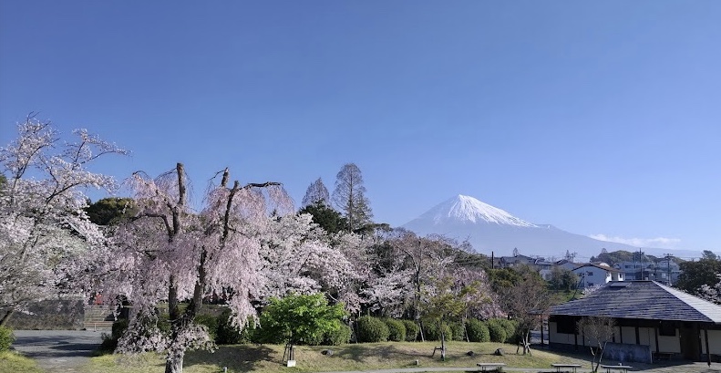 富士山本宮浅間大社