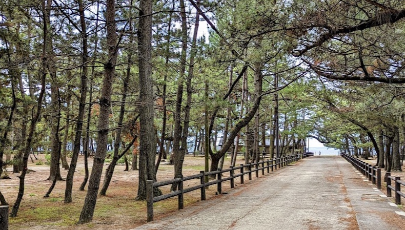  慶野松原海水浴場