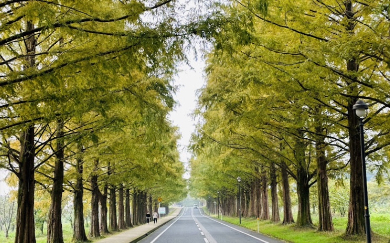 道の駅 マキノ追坂峠